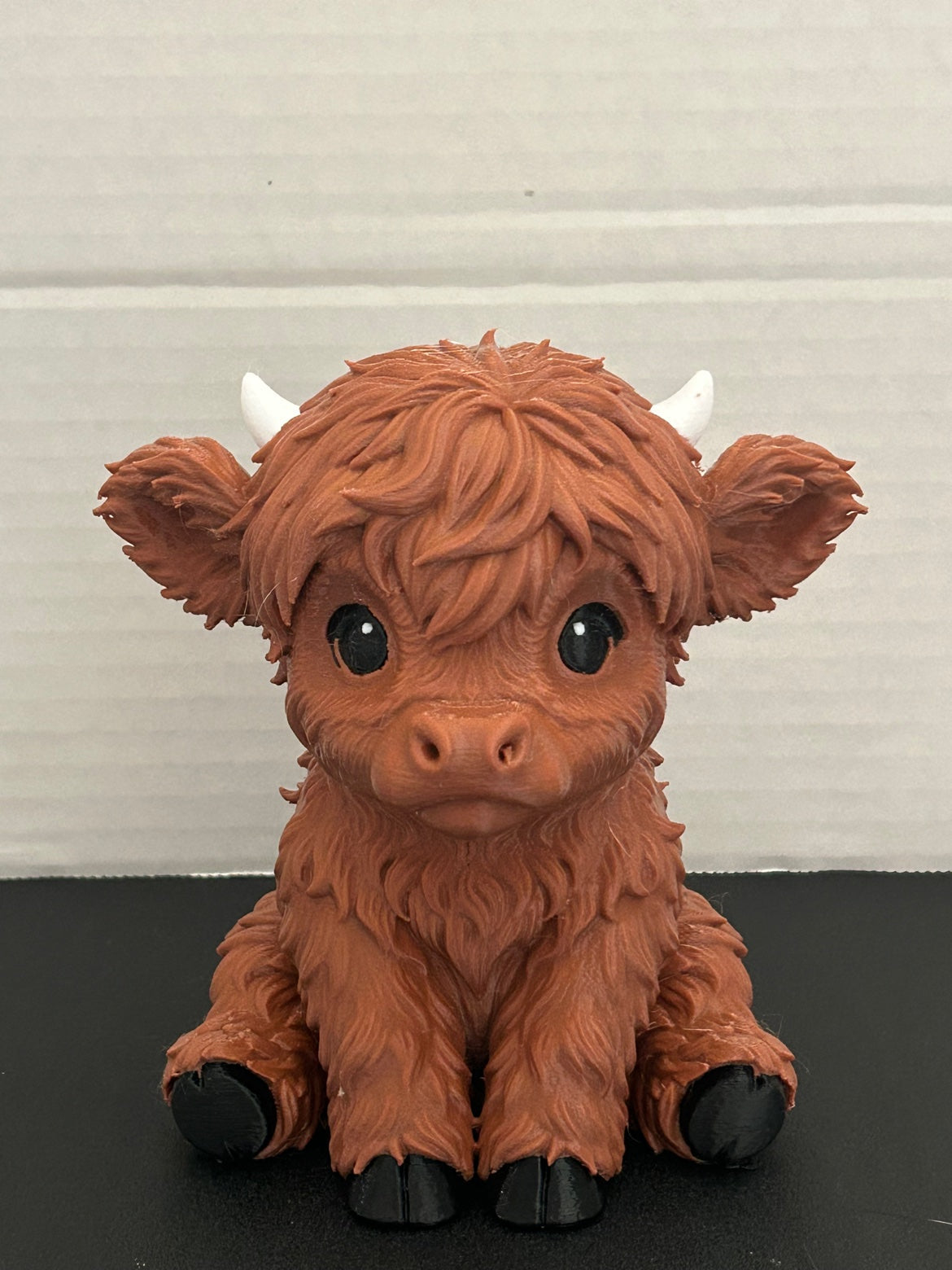 Highland Cow