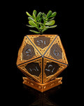 D20 Planter